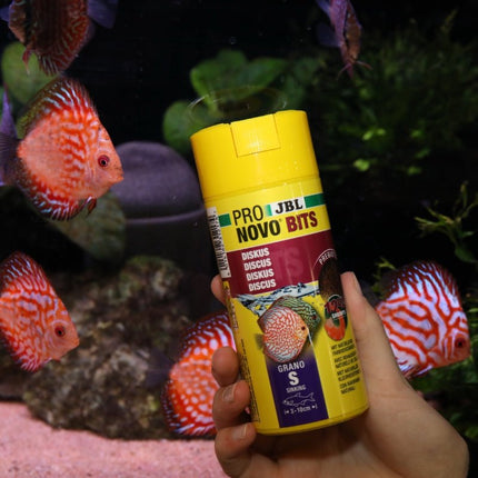 JBL Pronovo Bits Granulated Discus Fish Food for Vibrant South American Cichlids