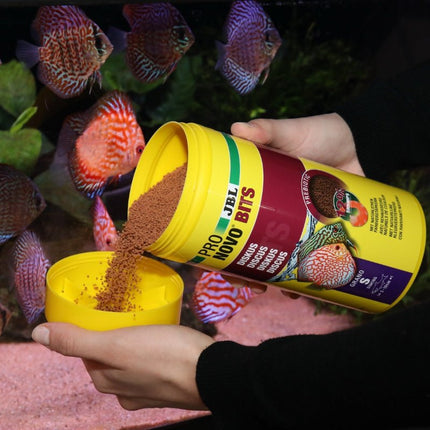 JBL Pronovo Bits Granulated Discus Fish Food for Vibrant South American Cichlids