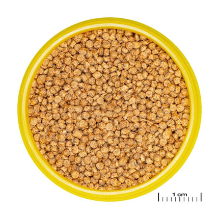 JBL Pronovo Cichlid Grano S: Premium Sinking Fish Food for Vibrant Small Cichlids