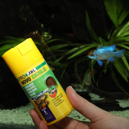 JBL Pronovo Cichlid Grano S: Premium Sinking Fish Food for Vibrant Small Cichlids