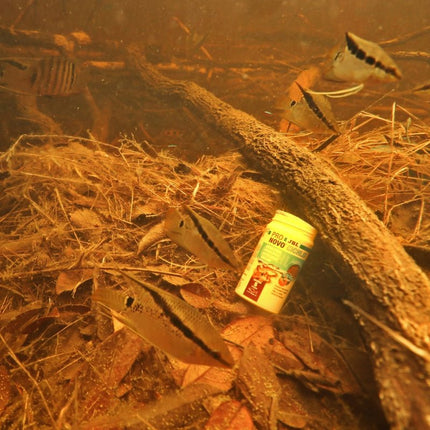 JBL Pronovo Cichlid Grano S: Premium Sinking Fish Food for Vibrant Small Cichlids