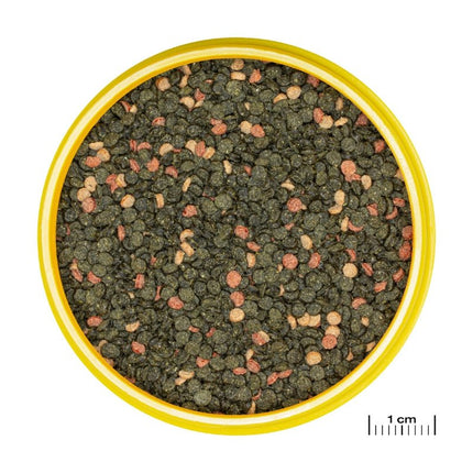 JBL Pronovo Malawi Grano M Premium Sinking Granules for Thriving Cichlids