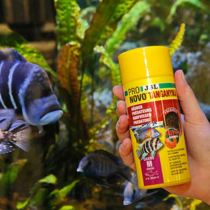 JBL Pronovo Tanganyika Grano M: Premium Granulated Sinking Cichlid Food