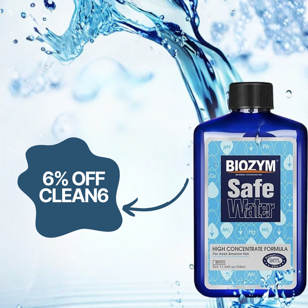 <h2><strong>Mid-Year Cleaning</strong></h2>