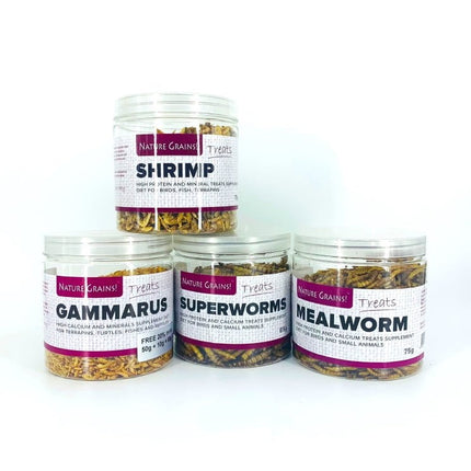 Premium Dried Gammarus Shrimp: Nutrient-Rich Color-Enhancing Treats for Turtles & Fish