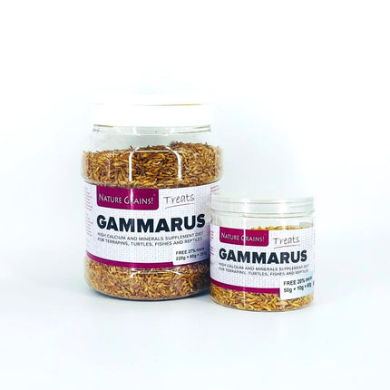 Premium Dried Gammarus Shrimp: Nutrient-Rich Color-Enhancing Treats for Turtles & Fish