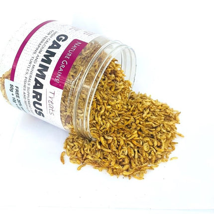 Premium Dried Gammarus Shrimp: Nutrient-Rich Color-Enhancing Treats for Turtles & Fish
