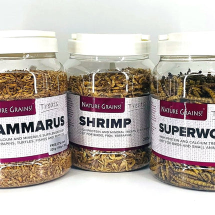 Premium Dried Gammarus Shrimp: Nutrient-Rich Color-Enhancing Treats for Turtles & Fish