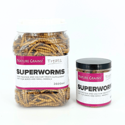 Premium Microwave Dried Superworm Pet Treats for Birds Fish Reptiles Rodents