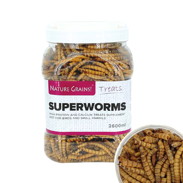 Premium Microwave Dried Superworm Pet Treats for Birds Fish Reptiles Rodents