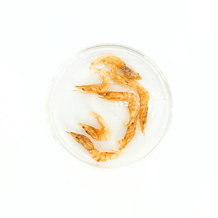 Premium Microwave-Dried Shrimp Pet Treats - Nutrient-Rich, High Protein, All-Natural Boost