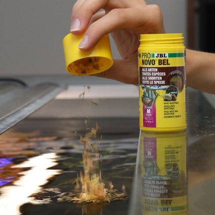 JBL ProNovo Bel Flakes M: Premium Daily Fish Food for Vibrant Aquarium Life