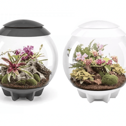 BiOrb Air 60 (Terrarium all in one with misting)