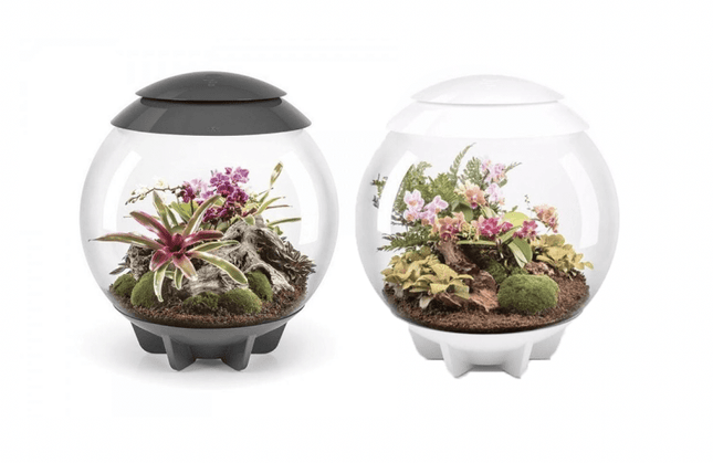 BiOrb Air 60 (Terrarium all in one with misting)