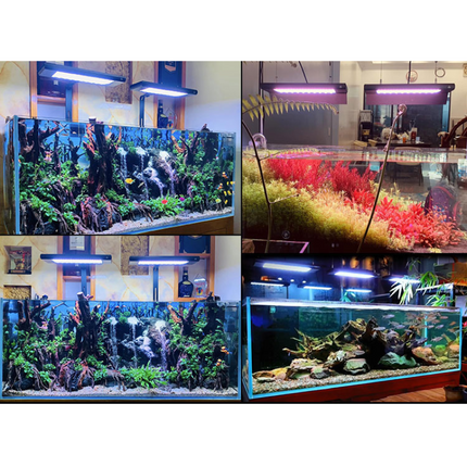 Week aqua Z400SEA Marine light (Reef LED aquarium lamp)