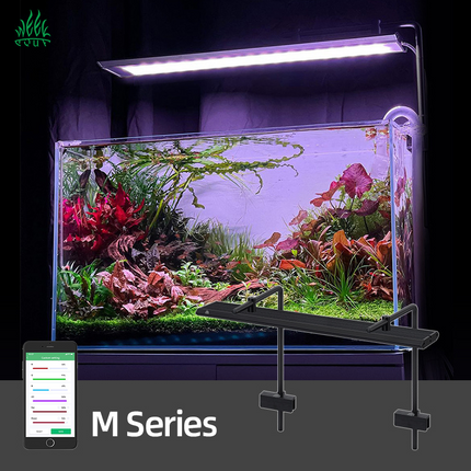 Week aqua MD-Series Pro Light (30 - 60cm) Black
