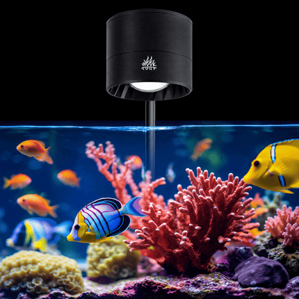 Weekaqua T-95 SEA (Marine)