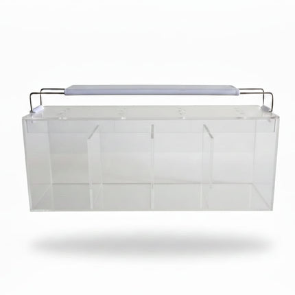 Acrylic tank with light- Ideal for Betta