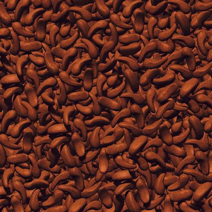 JBL ProPond Shrimp Floating Extrudate Food for Koi Fish, 3L/1kg, NEO Index Optimized Diet