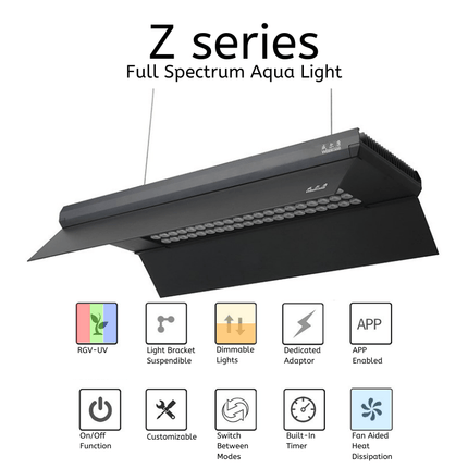 Week Aqua - Light Shades (L/M/P/Z - Series)