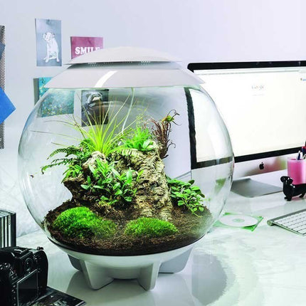 BiOrb Air 60 (Terrarium all in one with misting)
