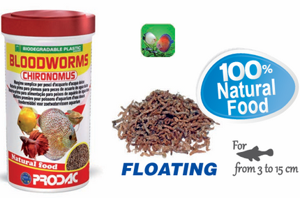 PRODAC Dried Bloodworms 7G