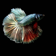 Collection image for: Copper