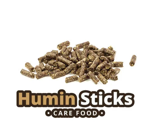 GlasGarten Humin sticks