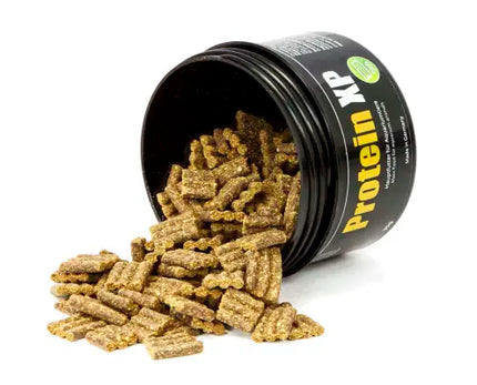 GlasGarten Protein XP