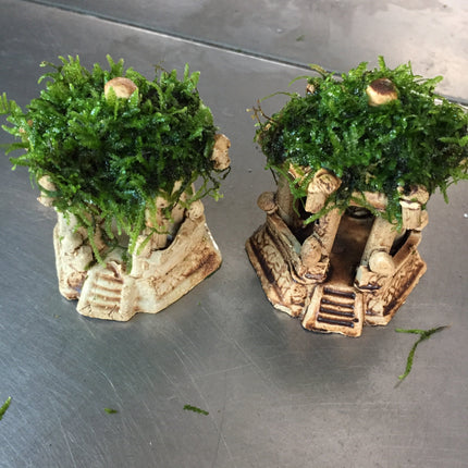 Premium Live Moss Hexagonal Aquarium Pavilion Decor for Fish Tanks