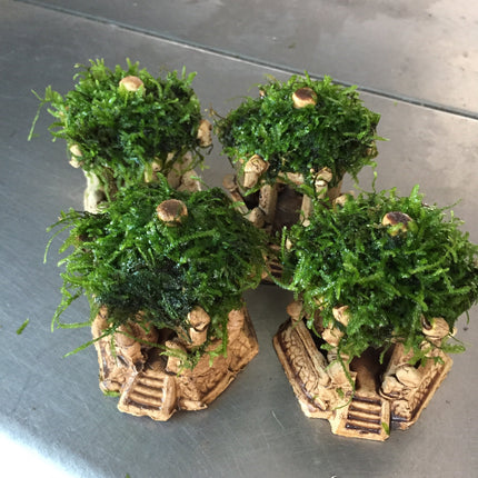 Premium Live Moss Hexagonal Aquarium Pavilion Decor for Fish Tanks