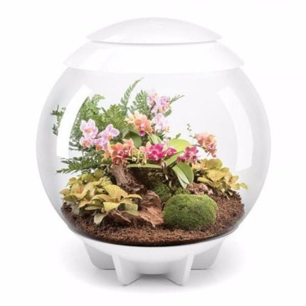 BiOrb Air 60 (Terrarium all in one with misting)