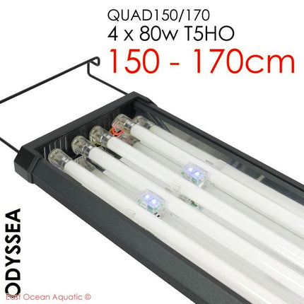 ODYSSEA QUAD 150/170  150cm T5HO 80W x4
