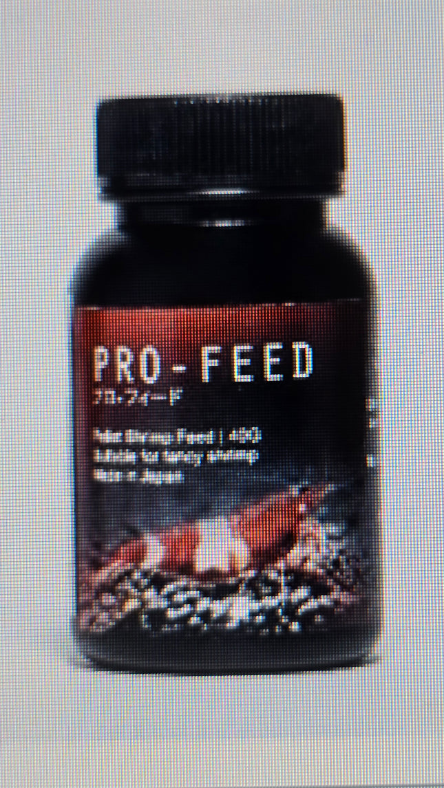 Assorted longfin koi