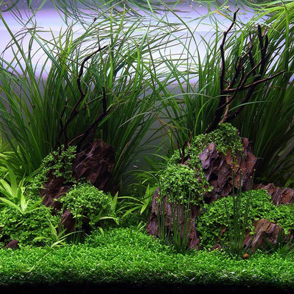TROPICA Aquarium Soil Powder 3L / 9L