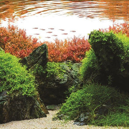TROPICA Aquarium Soil Powder 3L / 9L