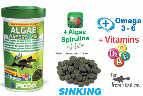 PRODAC Algae wafers mini 50g